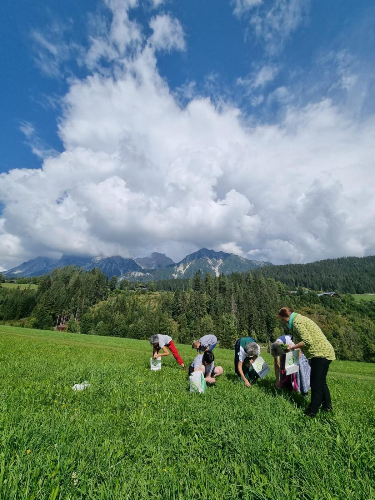 Pension Trillerhof Ramsau am Dachstein Eksteriør bilde