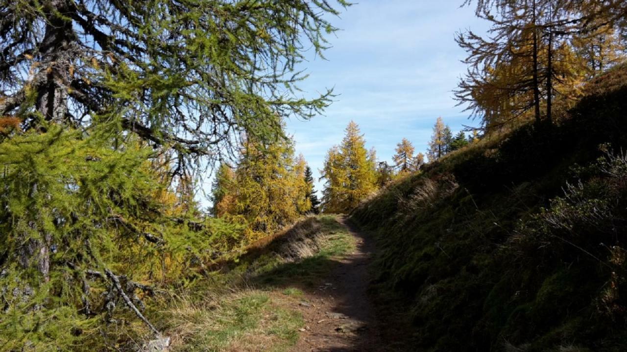 Pension Trillerhof Ramsau am Dachstein Eksteriør bilde