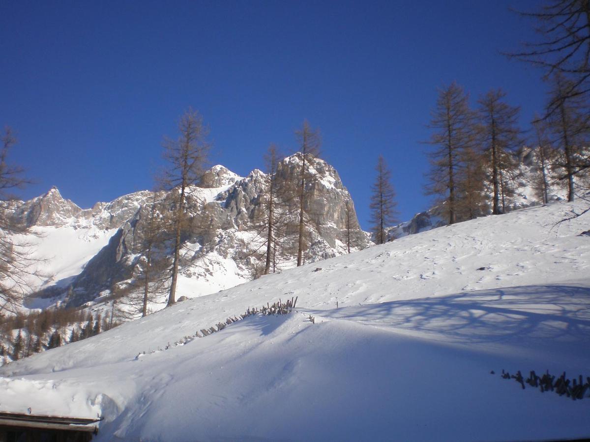 Pension Trillerhof Ramsau am Dachstein Eksteriør bilde